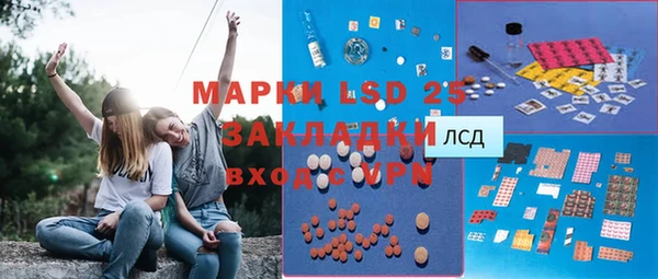 прущие грибы Орехово-Зуево