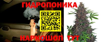 СК Балашиха