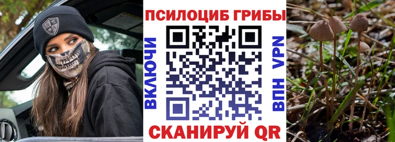 Галлюциногенные грибы GOLDEN TEACHER  где найти   Полысаево 