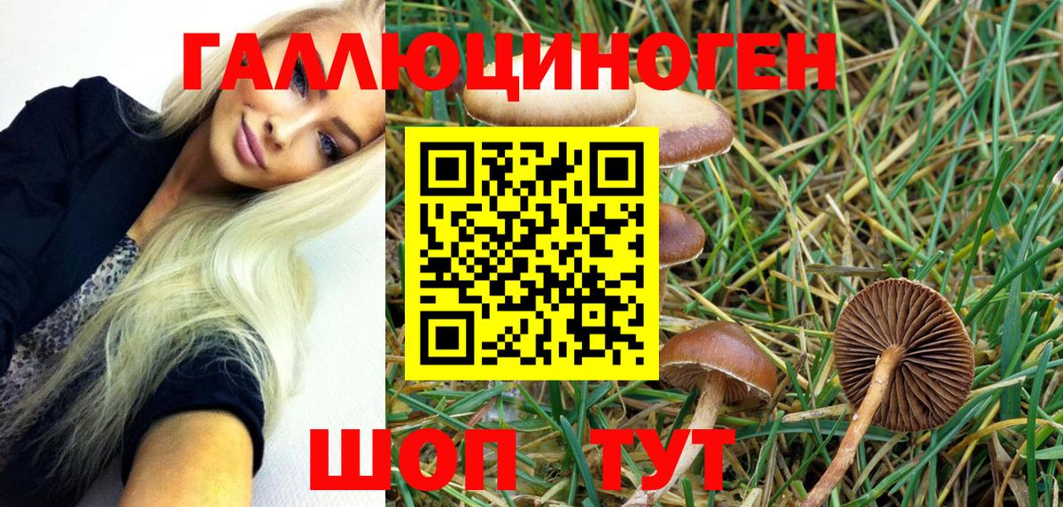 Псилоцибиновые грибы Psilocybe Полысаево
