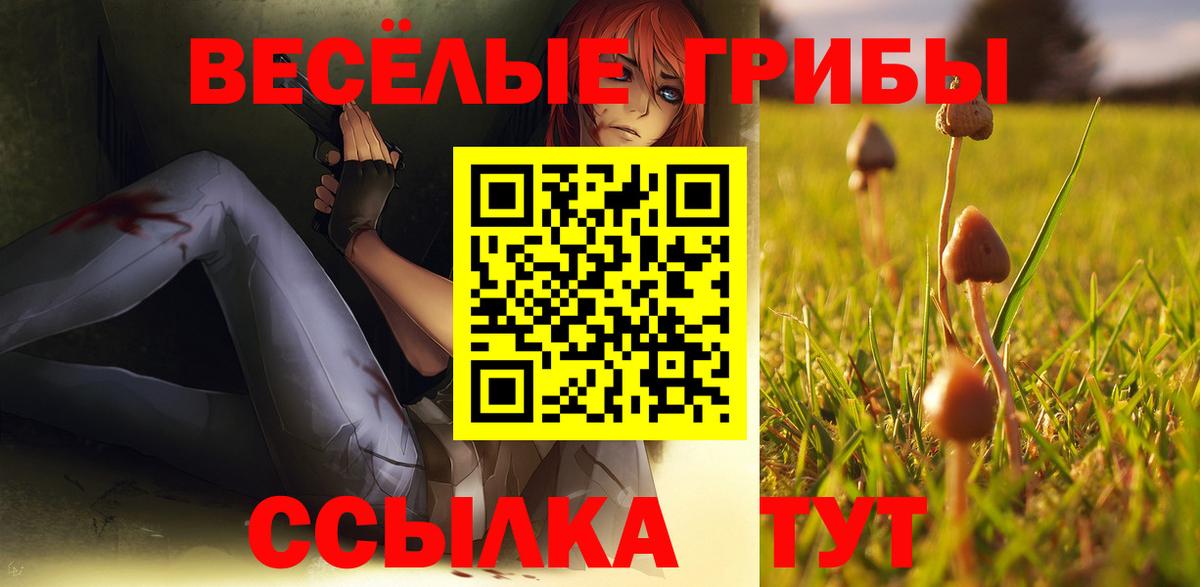 Полысаево  купить  цена  Галлюциногенные грибы Magic Shrooms  Вход с VPN  Псилоцибиновые грибы MAGIC MUSHROOMS 